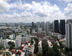 Stirling Residences (D3), Apartment #566842121